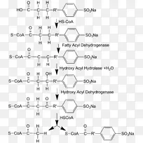 生物降解烷基苯磺酸盐十二烷基苯表面活性剂-β