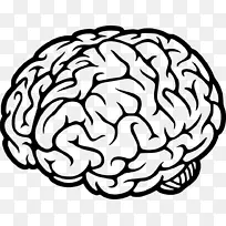 人脑认知科学神经振荡剪辑艺术脑