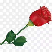 玫瑰书名代理有限责任公司红色剪贴画-玫瑰