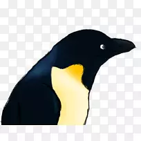 企鹅王小鸡是很棒的绘画企鹅-企鹅