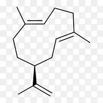 格玛肯尼有机化学有机化合物