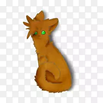 大型猫科犬科飞狐