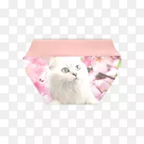 小猫粉红m须rtv粉色樱花小猫