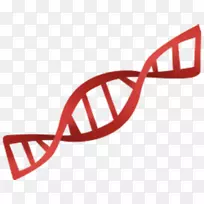 遗传学计算机图标基因测试剪辑艺术