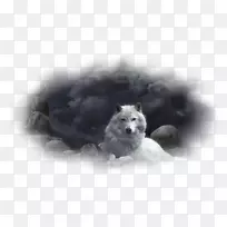 桌面壁纸.高清晰度电视1080 p显示分辨率