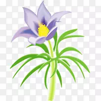 注意缺陷多动障碍花瓣花夹艺术-花PSD
