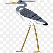 本努鸟工程埃及神话灰鹭鸟