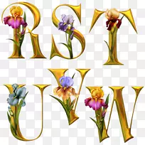 花花字母表字母花卉设计.花