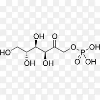 核糖-5-磷酸核糖-5-磷酸异构酶缺乏化学