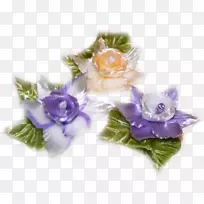 切花花卉设计紫色画花