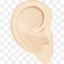 耳颊颌鼻耳