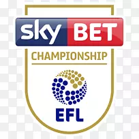 2018年18届EFL锦标赛-19场EFL锦标赛英国足球联赛EFL杯超级联赛-超级联赛