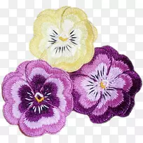 潘西紫草本植物-紫罗兰