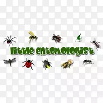 昆虫标志传粉器害虫字体-昆虫