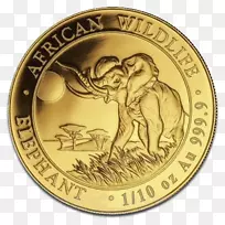 非洲象金币索马里-硬币