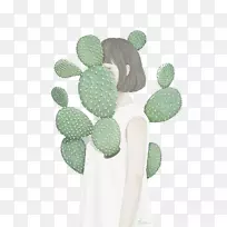 仙人掌科肉质植物画仙人掌花园