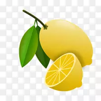 甜柠檬解毒食品波斯酸橙-柠檬