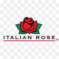 意大利玫瑰美食产品企业萨尔萨食品标志-业务