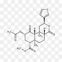 占卜者的圣人，杂质研究科学，普通圣人-人