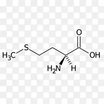 蛋氨酸必需氨基酸膳食补充剂苯丙氨酸科学