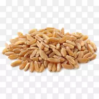 呼罗珊小麦有机食品谷类麦粉面粉