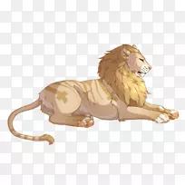 狮子咆哮大猫陆生动物-狮子
