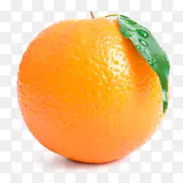 血橙橘橙