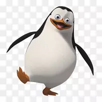 波多黎各船长企鹅科瓦尔斯基马达加斯加-企鹅