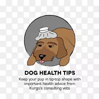 小狗训练库戈狗健康-健康提示