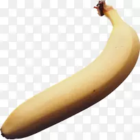 热带香蕉资料袋水果蔬菜-香蕉