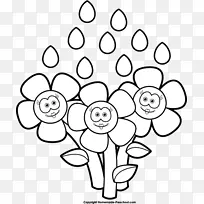 花卉设计花白色植物茎剪艺术-雨花