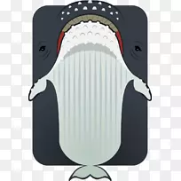 动物座头鲸