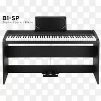 数码钢琴korg b1sp-钢琴