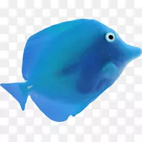 鱼蓝海鱼