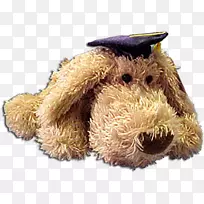 鼻子毛绒玩具和可爱玩具-金色毕业帽