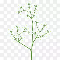 嫩枝切花，植物茎，开花植物-花草