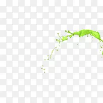 嫩枝绿色植物茎桌面壁纸叶