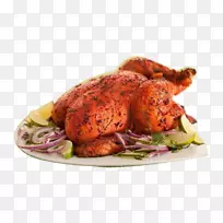 丹多里鸡，比亚尼，印度料理，烤肉串-鸡肉