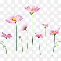 花束画桌面壁纸-花