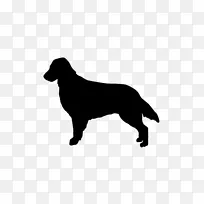 罗威勒扁衣猎犬金毛猎犬边境牧羊犬拉布拉多猎犬扁毛猎犬