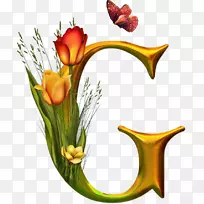 西班牙字母y