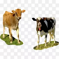 牛磺酸牛犊奶牛剪贴画