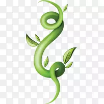 绿色植物茎叶剪贴画