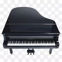 大钢琴键-钢琴