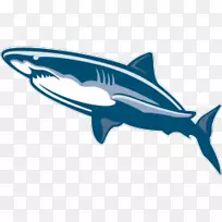 沙虎鲨大白鲨剪贴画-鲨鱼