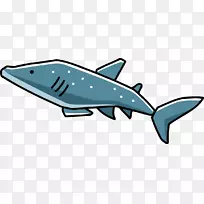 鲸鲨