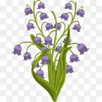 山谷植物茎秆百合切花紫罗兰素