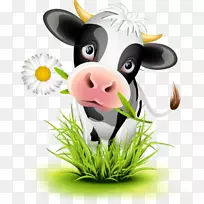 荷斯坦、弗里西亚牛、棕色牛、瑞士牛、泽西牛-生日