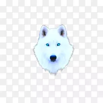 犬种北极狐须卡通头骨手指