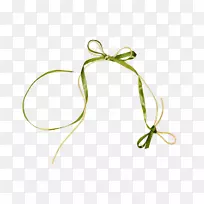 叶植物茎花叶
